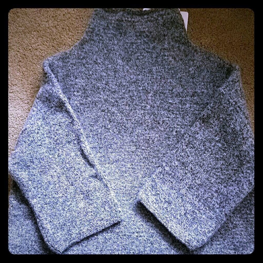 Zara Knit Mock turtle neck sweater.
